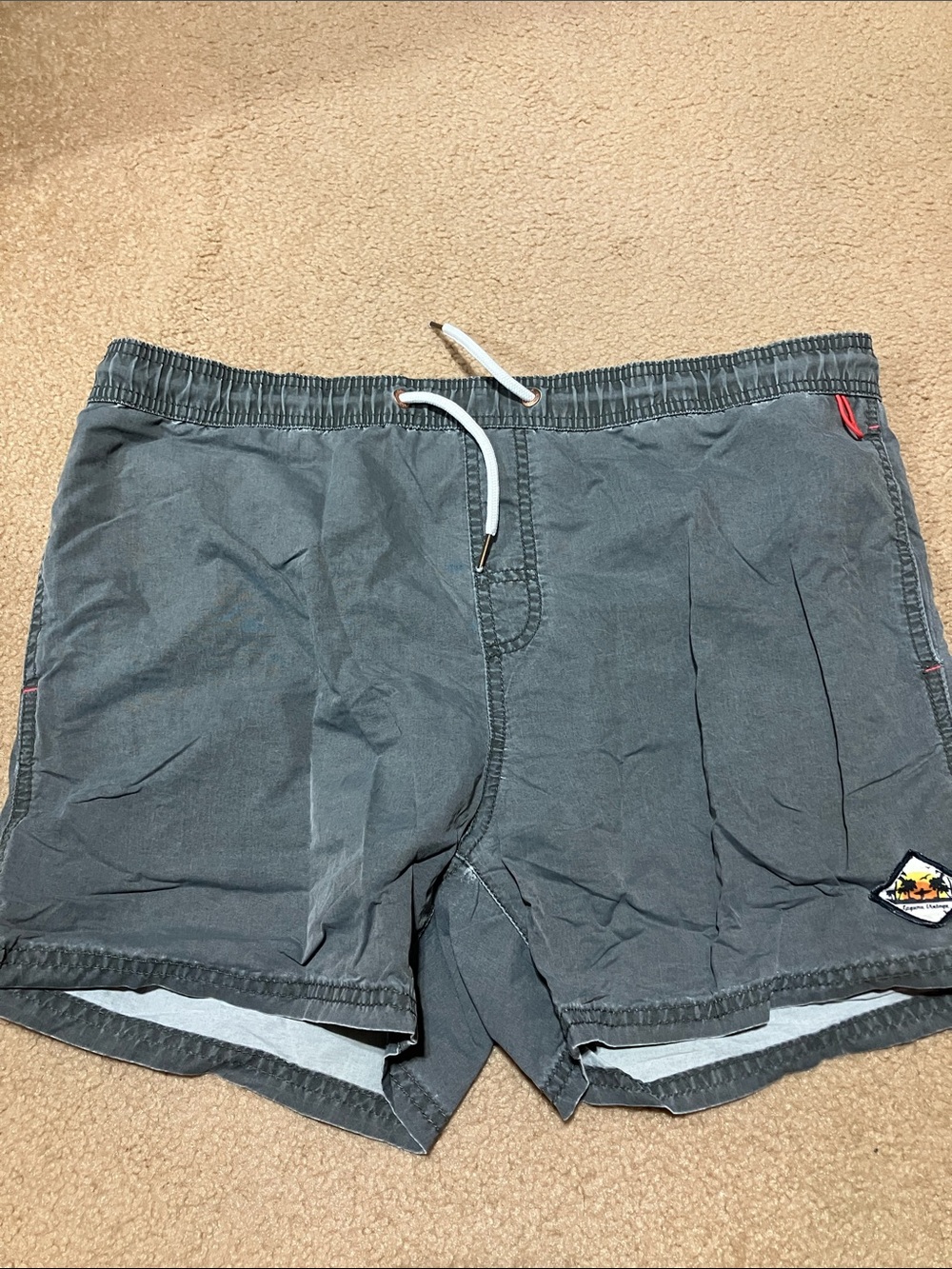 Cedarwood State swim Shorts Gray Small